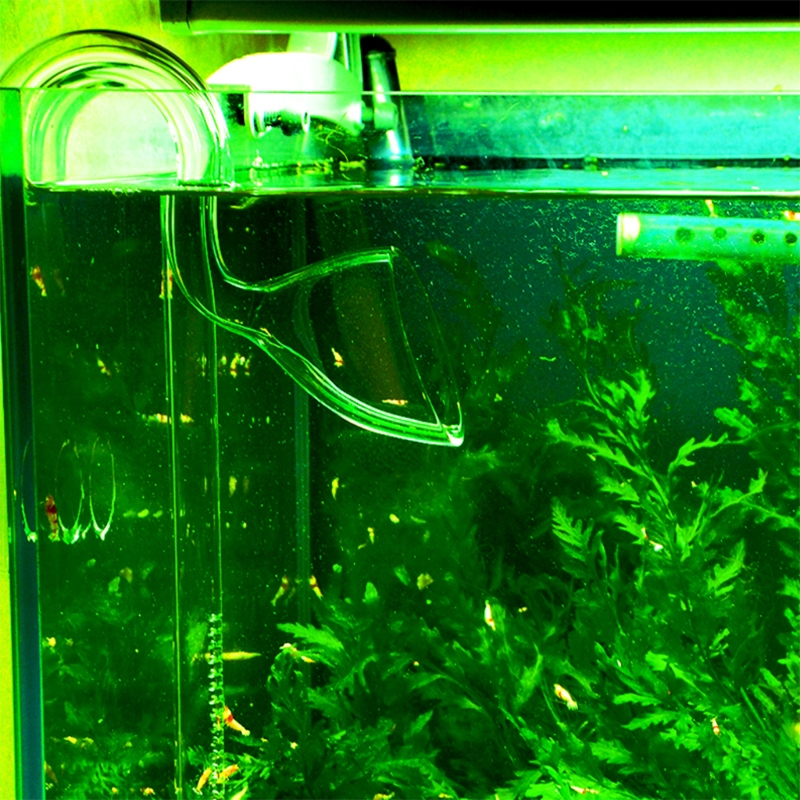 Title 2, Aquarium für Tankauslass, Wasserausfluss, Lily ...