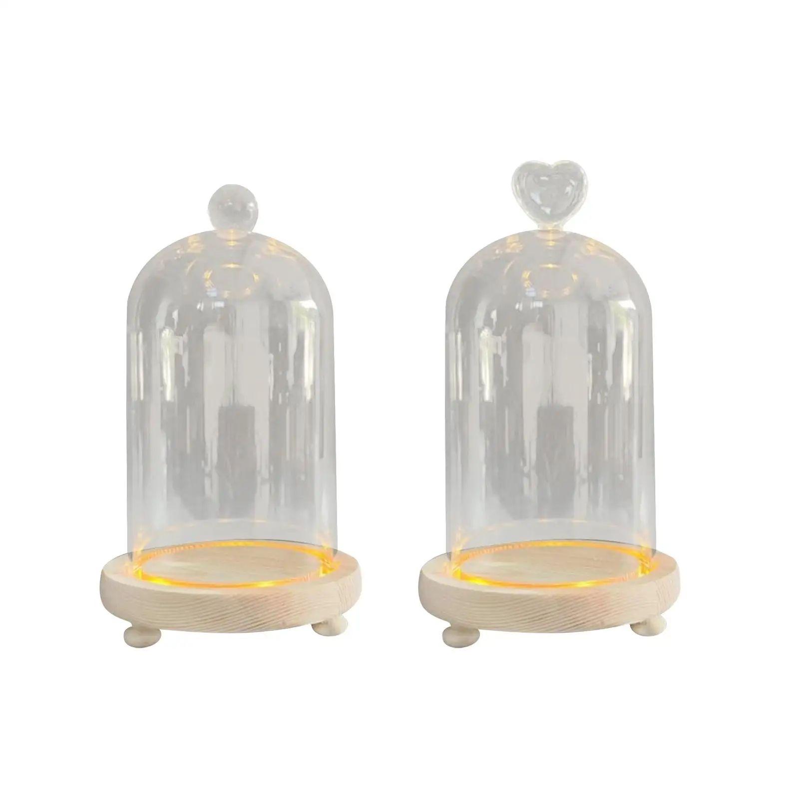 Glass Cloche Dome Cloche Dome Bell Jar Display Case Nordic Valentine`s Day