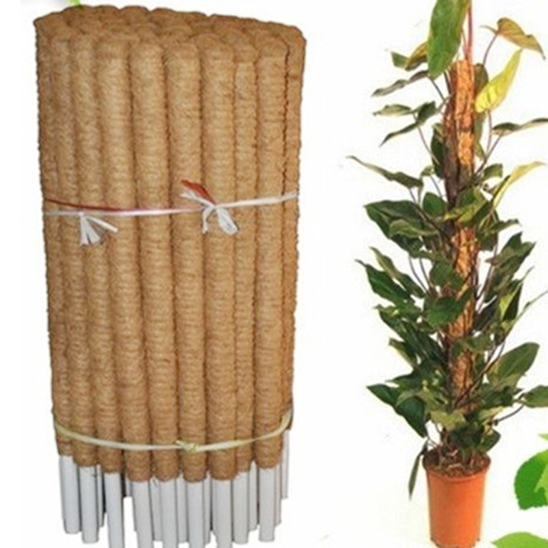 Description Picture 4 of itemHome Support Coir Indoor Extension Coconut Fiber Stick Creeper Plant Frame Maintain Moisture Totem Pole Climbing Plants Stick