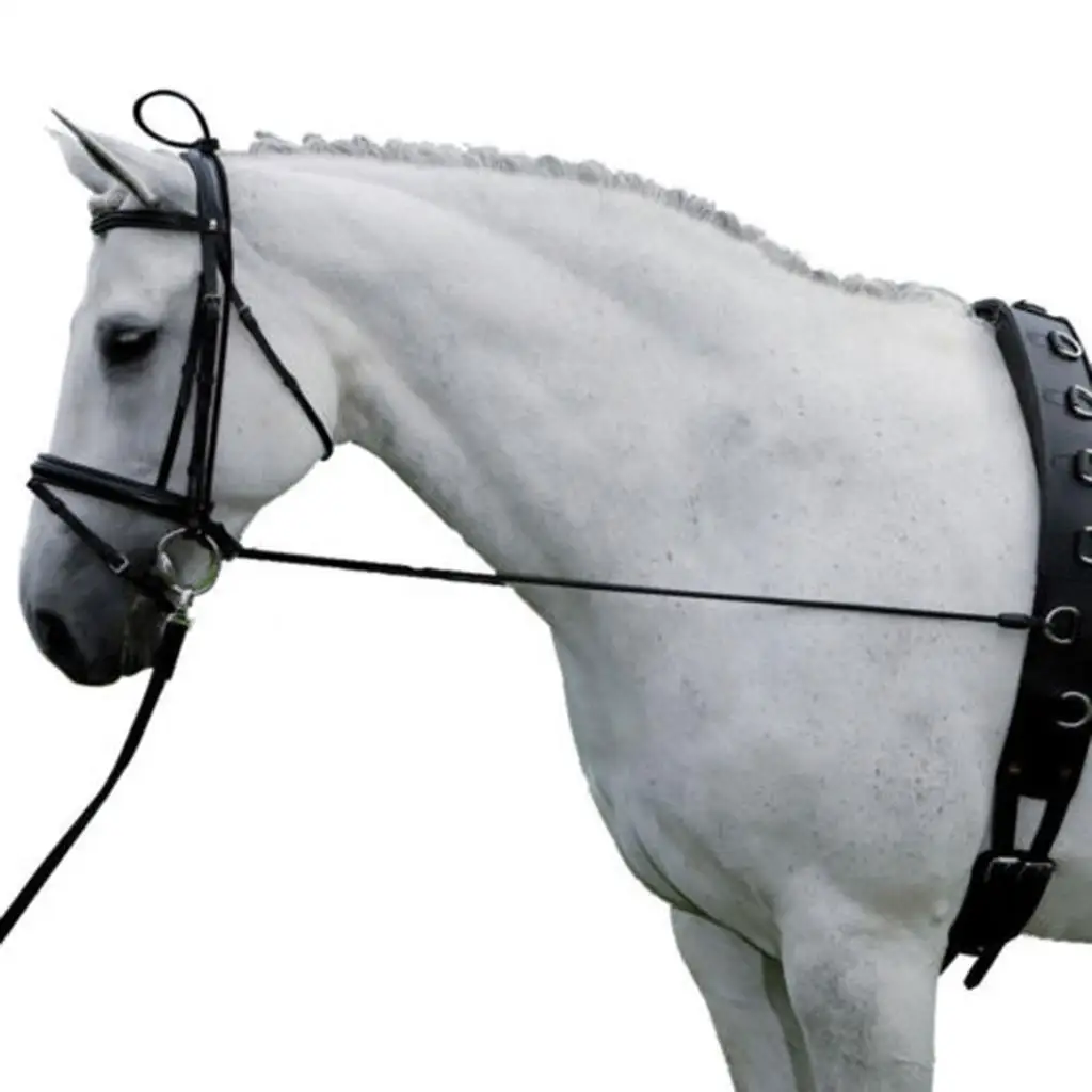 Horse Black Neck Stretcher Elastic Horse Rein Strap Rope Equestrian Supplies
