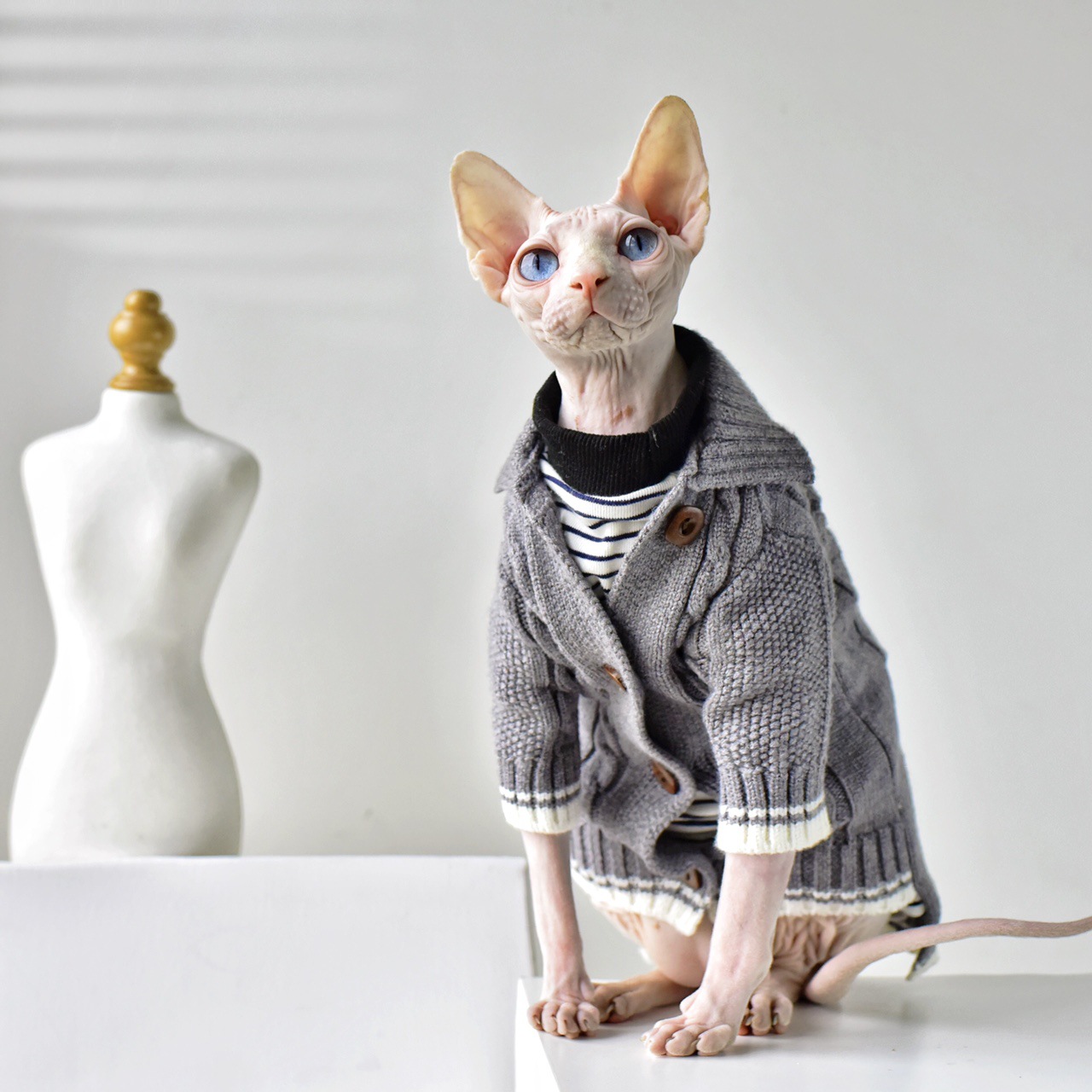 Fashion Pet Cat Clothes Winter Warm 