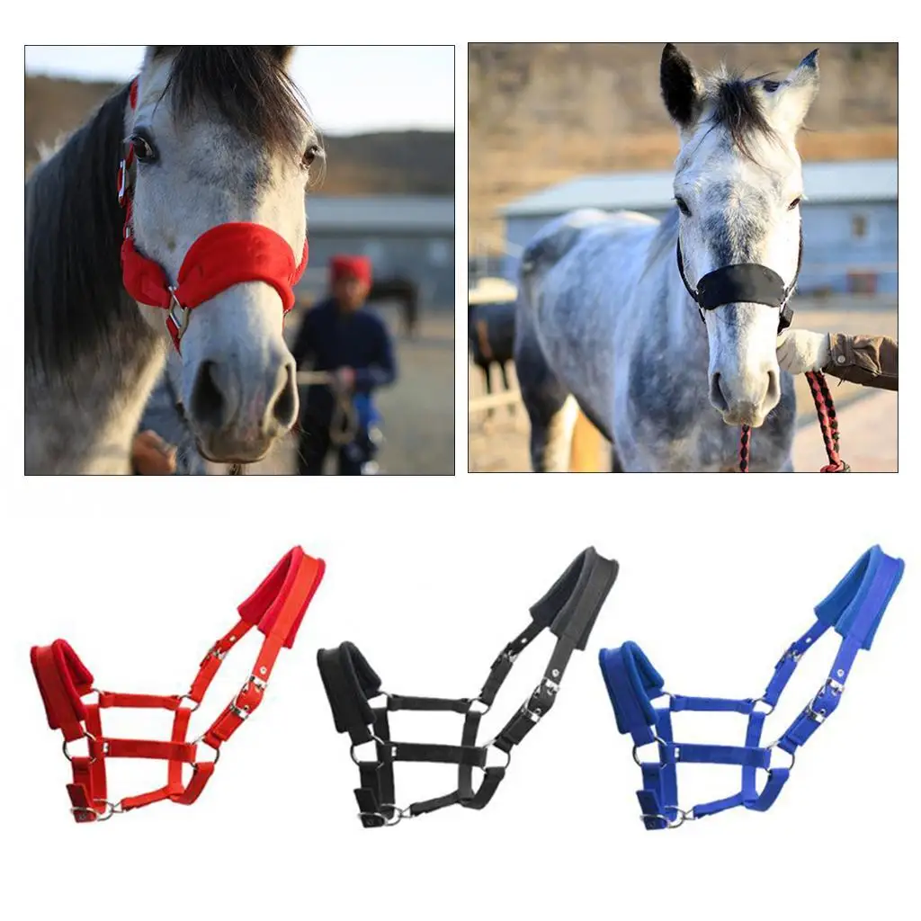 Soft Padded Cob Horse Halter Rein Equestrian Headstall Head Collar Equipments