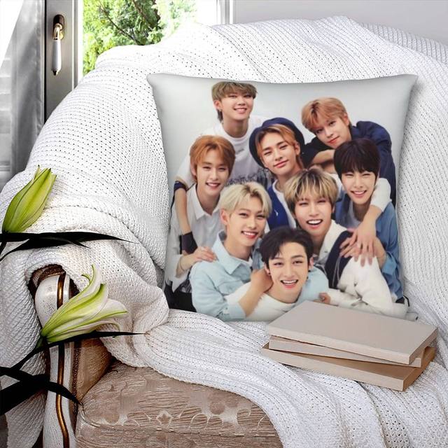 Byeon Woo Seok Cushion Pillow Tent,Office,Home Cotton Linen Zippered  Pillowcase Family Home Accessories Customizable One Side - AliExpress