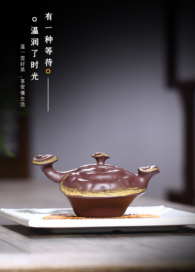 Ganoderma Ruyi_05.jpg