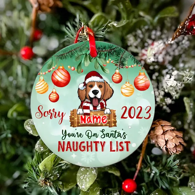 Sorry 2023 Sie sind auf Santa freche Liste personal isierte Weihnachten  Emaille Ornament für Haustier mit Namen Weihnachten Ornament 2023 Geschenk
