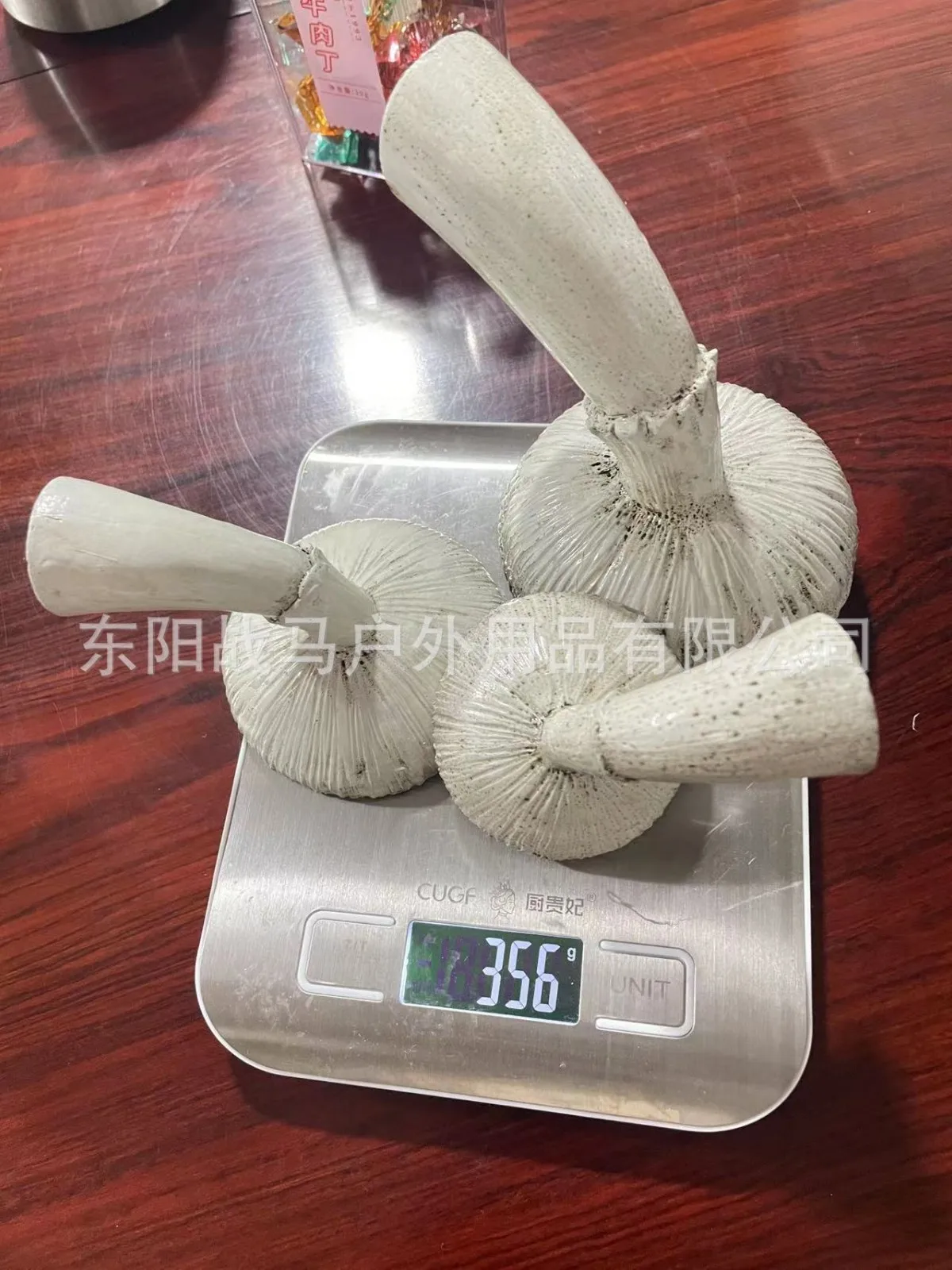 Mushroom Hanging Shelf Resin Wall Floating Shelf Amanita Mushroom Shape Home Decor Ornaments for Wall Hanging Shelves 2022