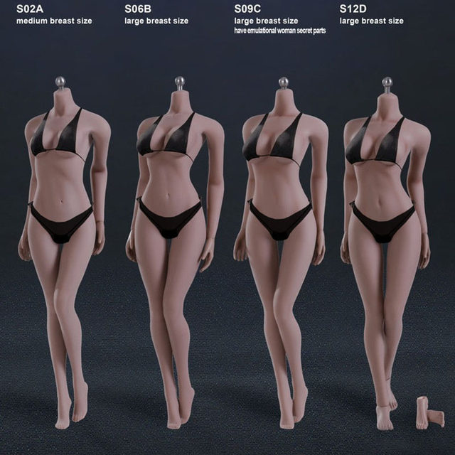 Phicen 1/6 Female Seamless Action Figure Doll 12“ Tbleague Body S10D S12D  S18A S19B S21A S22B S34A S35A S42A S43A S46A S47A S51A - AliExpress