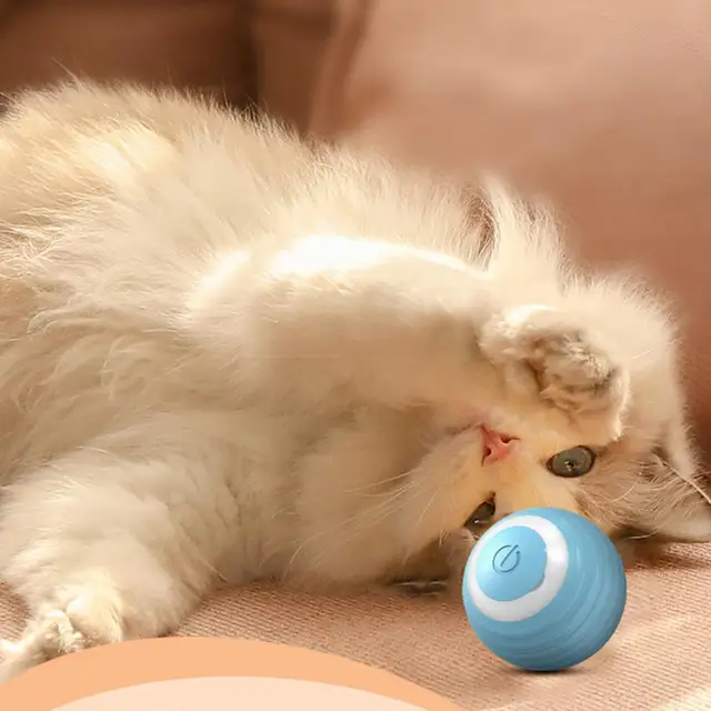 BPA Free Smart Interactive Cat Toy Ball USB ricaricabile giocattolo per  gatti automatizzato con luce colorata Power Ball Kitten Toy - AliExpress
