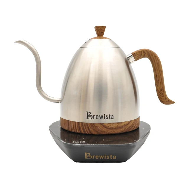 Brewitsa-Stainless Steel Electric Coffee Kettle, Gooseneck, Temperature  Control, 600ml - AliExpress