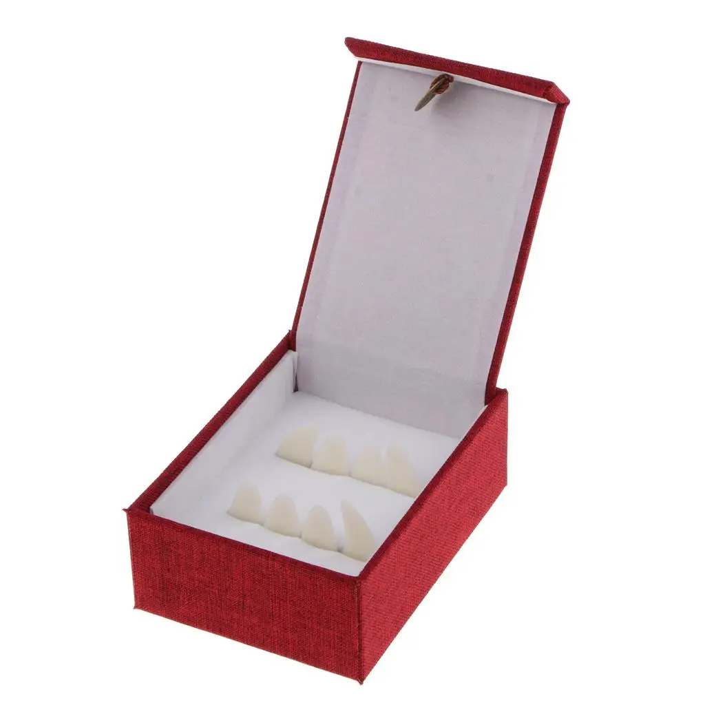 Professional Guzheng Chinese Zither Finger Picks Nails with Carry Storage Case Box for Adults