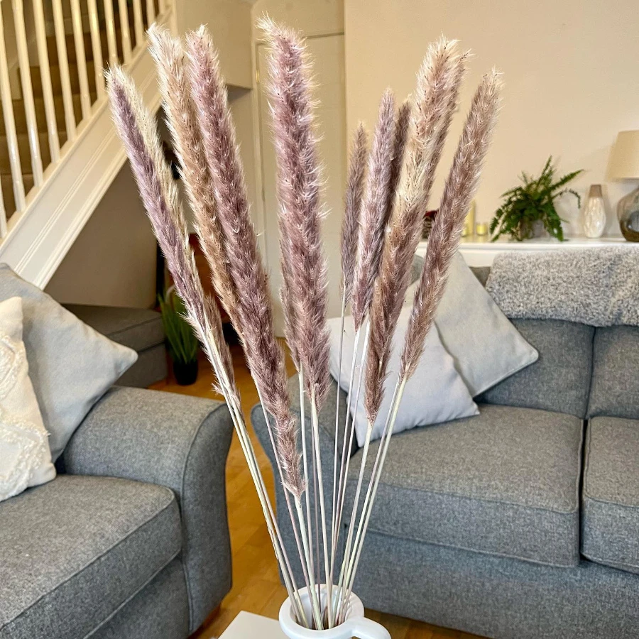30PCS Dry Flowers for Decoration Party Real Pampas Grass Natural Dried Flowers Bulrush Rabbit Tail Grass Fall Office Home Decor
