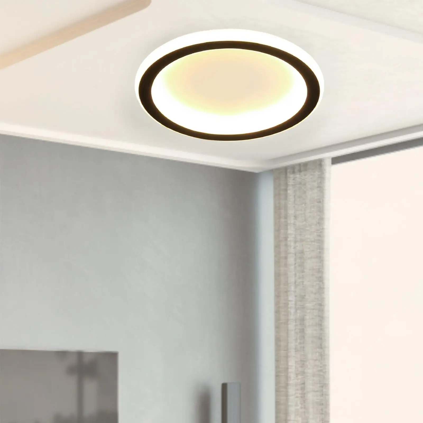 Minimalist Ceiling Light Lamp Lighting Decoration LED Pendant Light Art Fixture for Corridor Home Kitchen Entryway Balcony