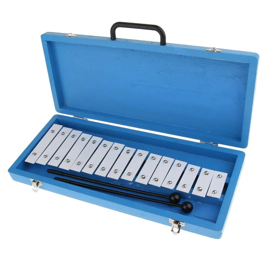 15 Glockenspiel Xylophone A Rigid Case