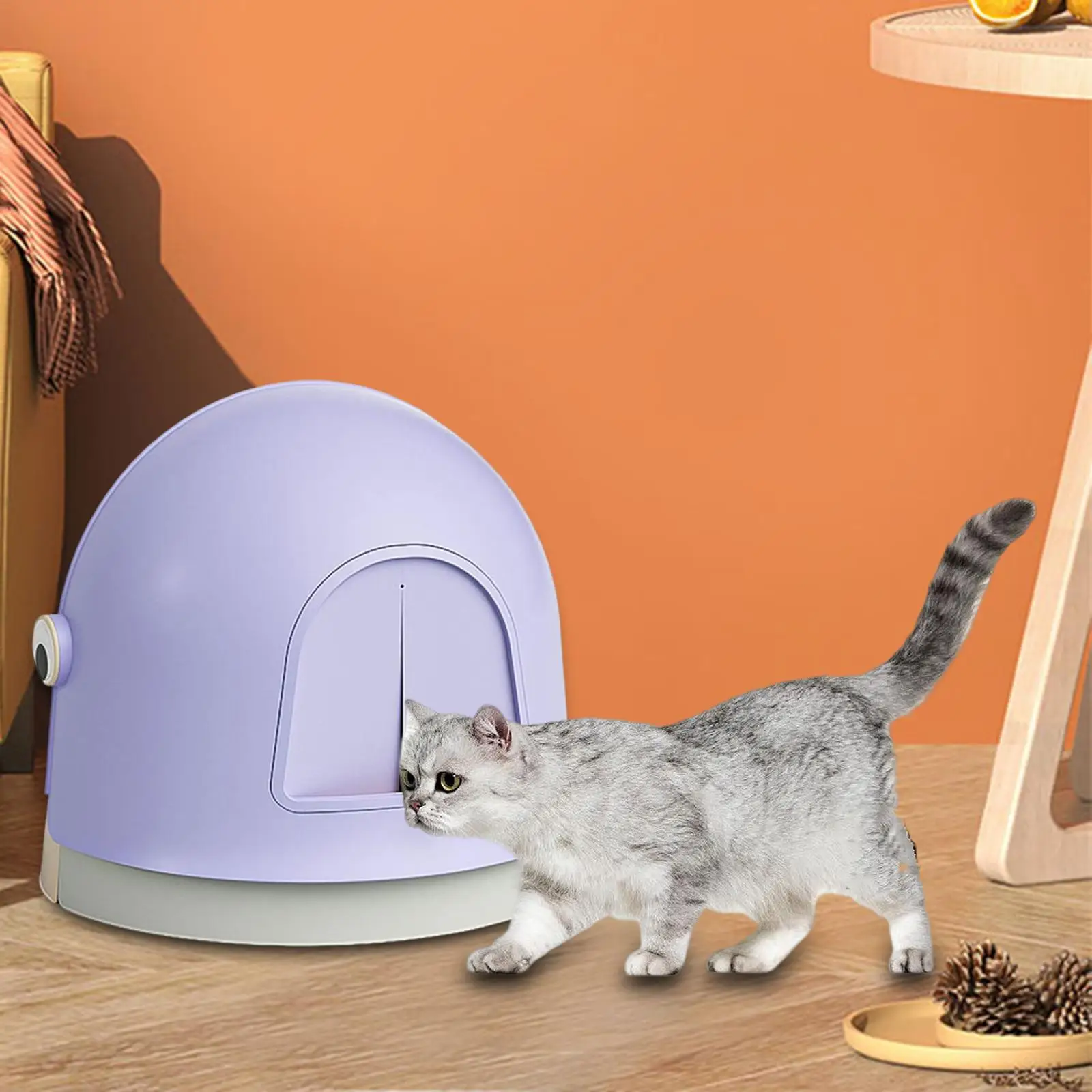 Enclosed Cat Litter Box Kitten Litter box Litter Tray Kitty Litter Pan with Door Kitten Toilet Litter Pan for Training Pets