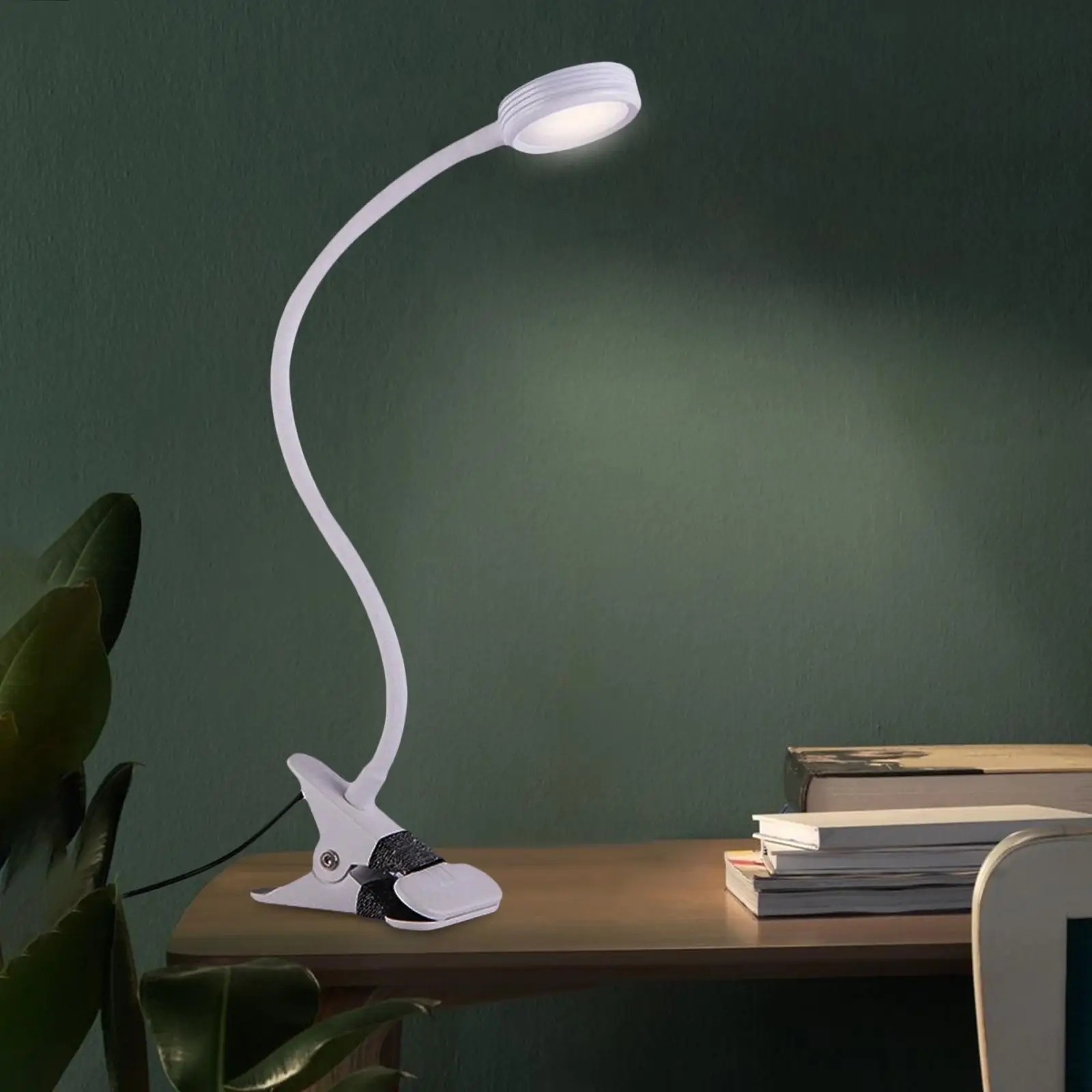 Flexible LED Desk Lamp with Clamp Adjustable USB Table Lamp for Reading in Bed Headboard
