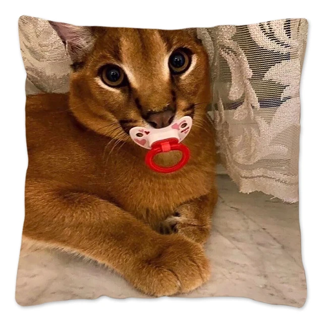 Cute floppa meme capa de almofada 45x45 decoração para casa dakimakura  engraçado caracal gato jogar capa de almofada para sala de estar housse de  coussin - AliExpress