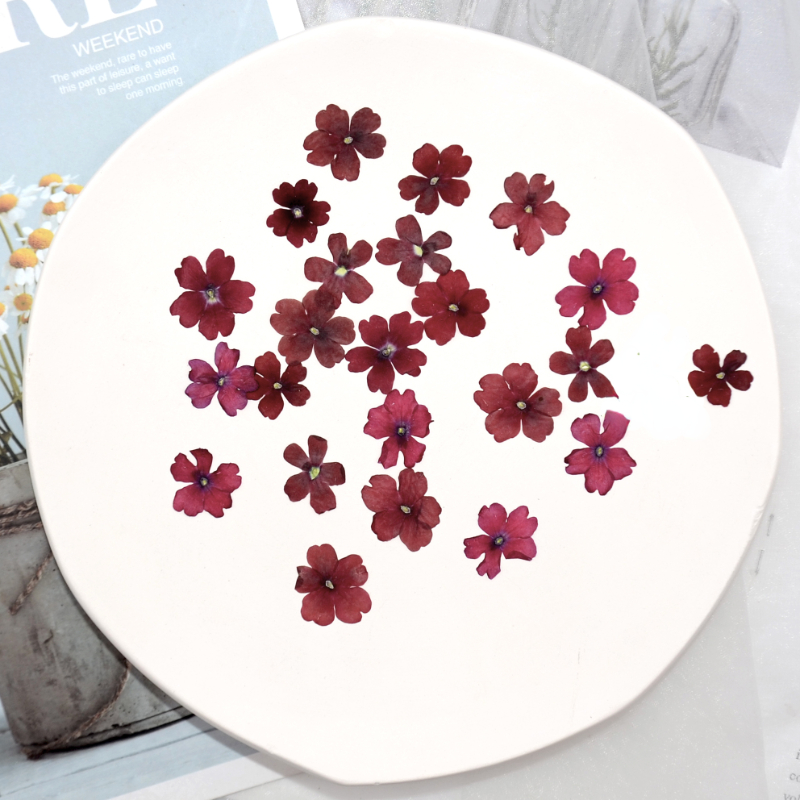1-2cm/24 Stück, Natürliche Gepresste Sakura-Blüten, Echte Blütenblätter für DIY Kleber-Dekoration Handyhülle Maniküre Gesichtsdekoration – Detail 1