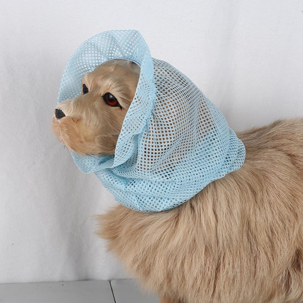 Title 8, Snood léger pour chien, Protection d