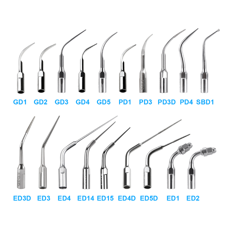 Best of Denspay 1PC Dental Endo Perio Scaling Tips G P E Fit For Satelec Woodpecker DTE Ultrasonic Scaler Periodontics Endodontics Reviews & Tips