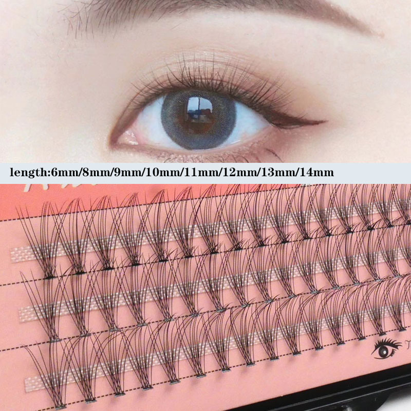 Best of Anlinnet 60 Clusters / Box Individual Eyelashes，10d Natural False Eyelashes Bundles, Extension Eyelash Cluster Reviews & Tips