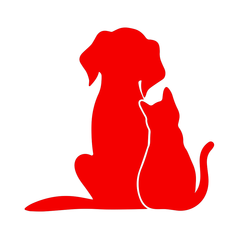 Katze und Hund Freunde Cartoon Stilvolle, Auto Produkte PVC Zubehör Aufkleber Aufkleber auf Motorrad Dekoration Persönlichkeit, Nach – Detail 4
