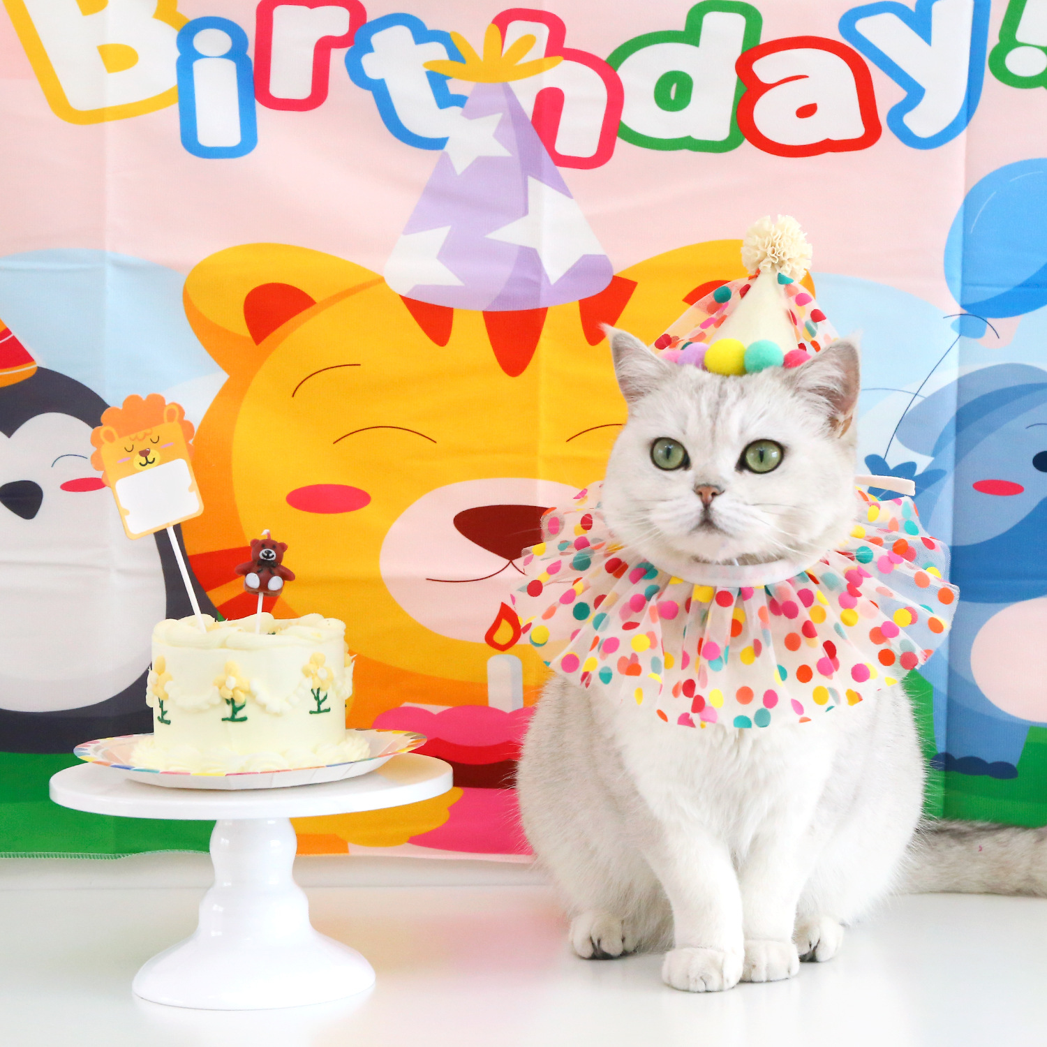 Title 2, Pet Birthday Dress Up Bavaglino in pizzo a pois...