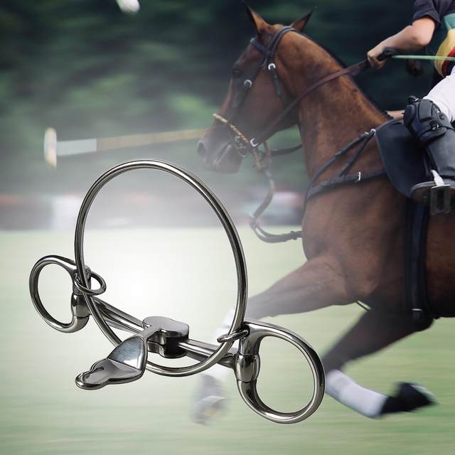 ZJchao Bit de Cheval, Bouts de Snaffle pour Chevaux Bouche de Chevaux