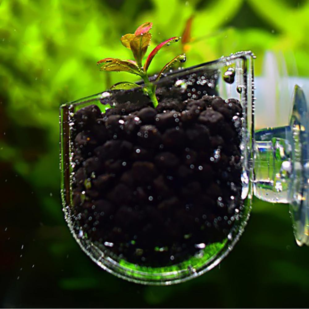 Title 1, Aquarium Aquarium verre plante tasse ver rouge ...