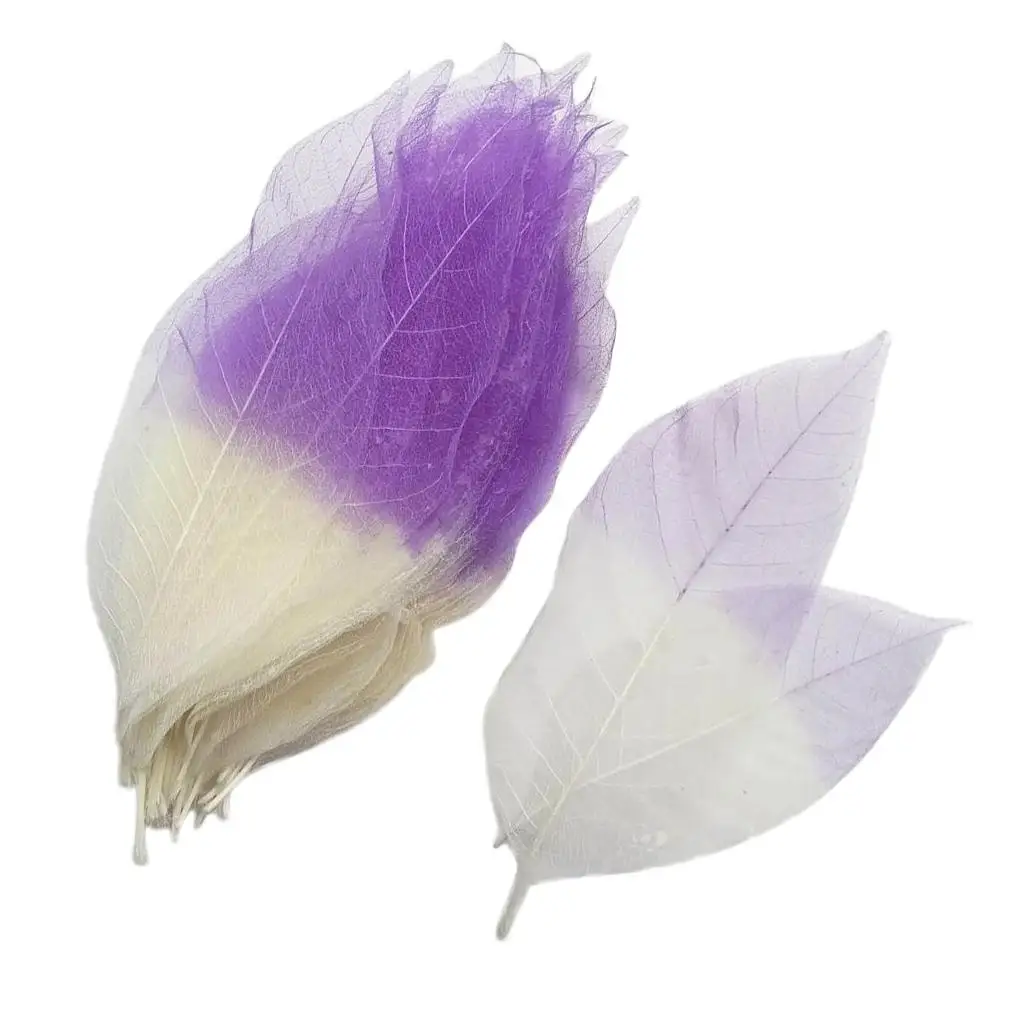 100 Pieces Dried Magnolia Skeleton Leaves Scrapbook Embellishment Bookmarks for resin Ornament Candle Soap Making Craft
