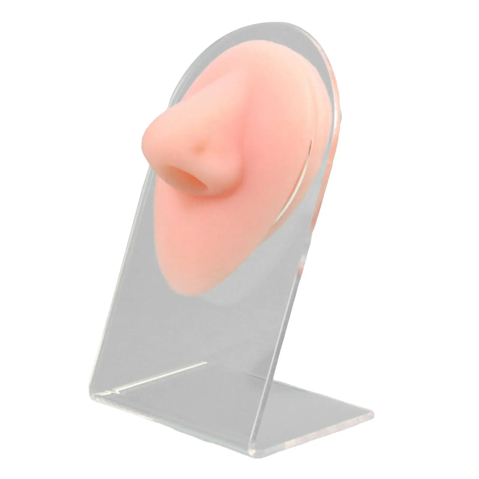 Nose Model Display Silicone with Rack Multipurpose Professional for Jewelry