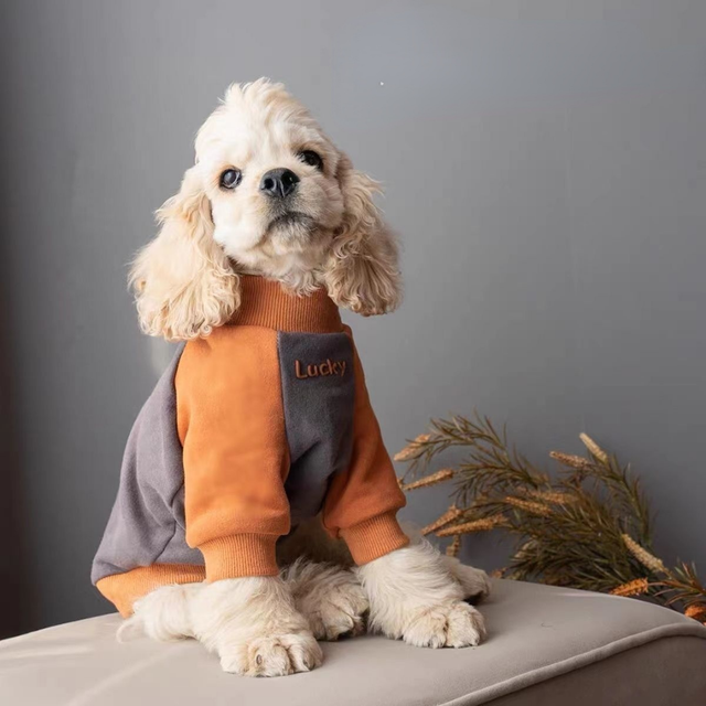 Cat Dog Cocker Spaniel Clothes Teddy Schnauzer Foxhound Spring and Autumn Wear Layered Over A Warm Long sleeved AliExpress