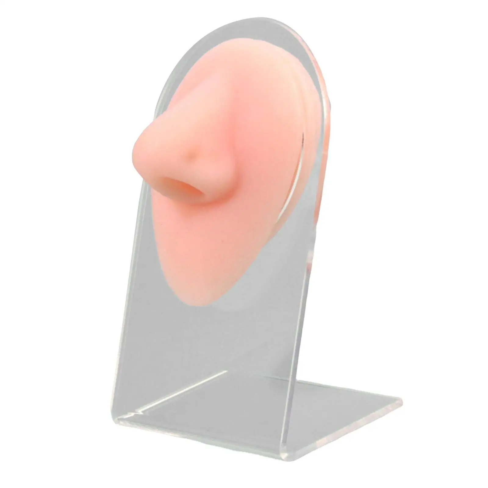 Nose Model Display Silicone with Rack Multipurpose Professional for Jewelry