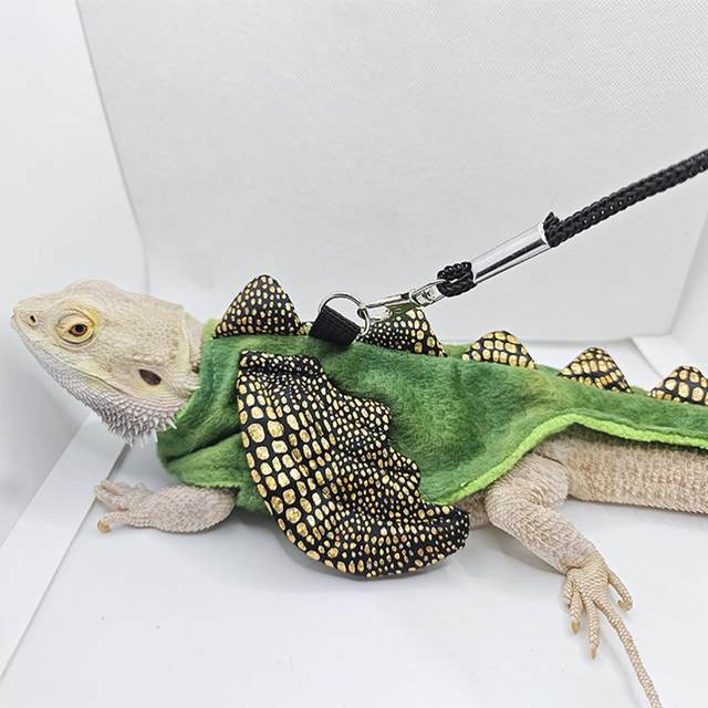 Harness and leash for bearded dragons best sale