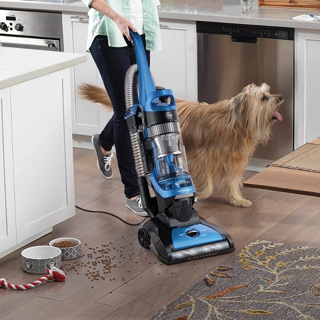 Elite Rewind Plus Upright Vacuum Cleaner with HEPA Media, UH71200 sale