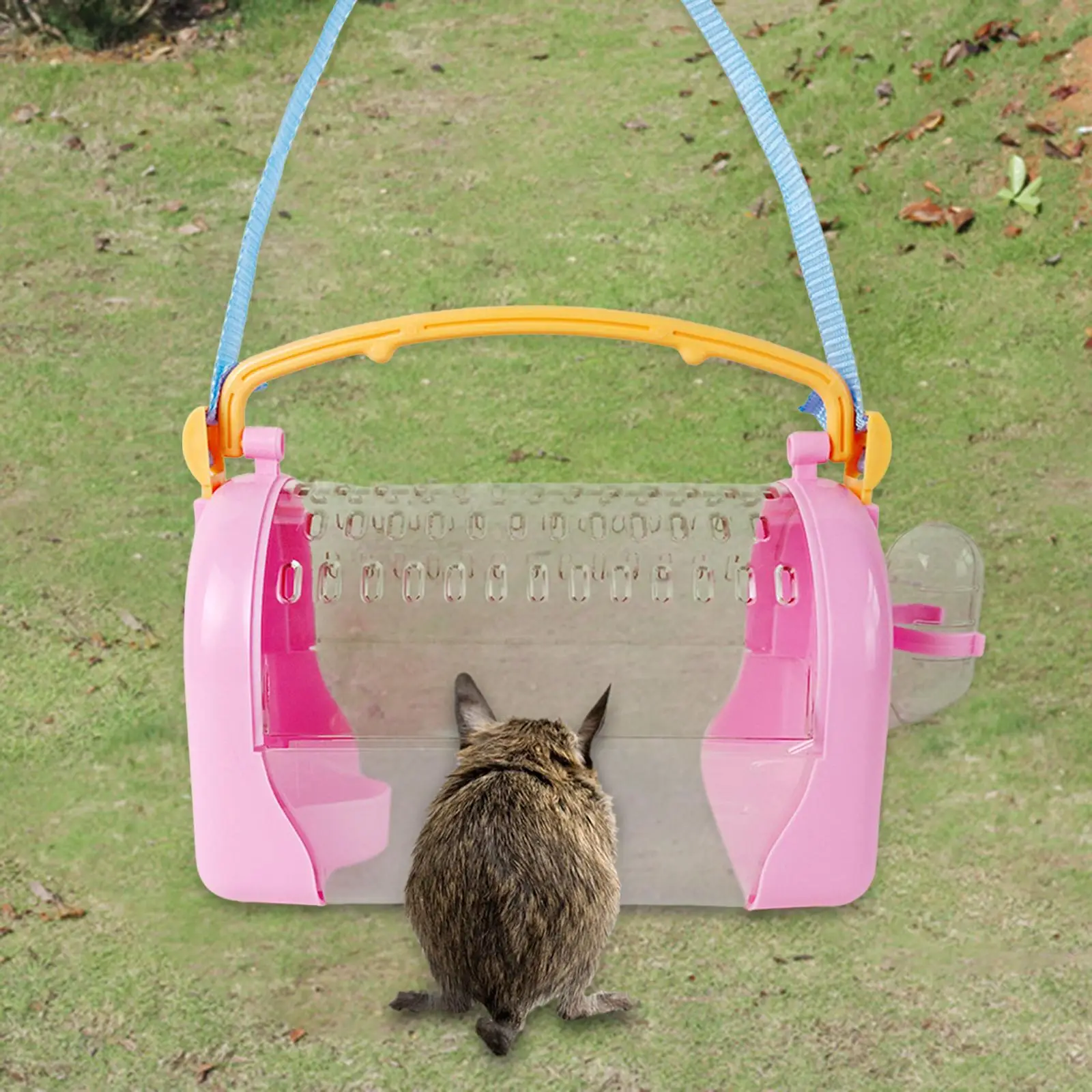 Guinea Pig Pet Travel Outgoing Cage African Hedgehog Hamster Carrier Cage