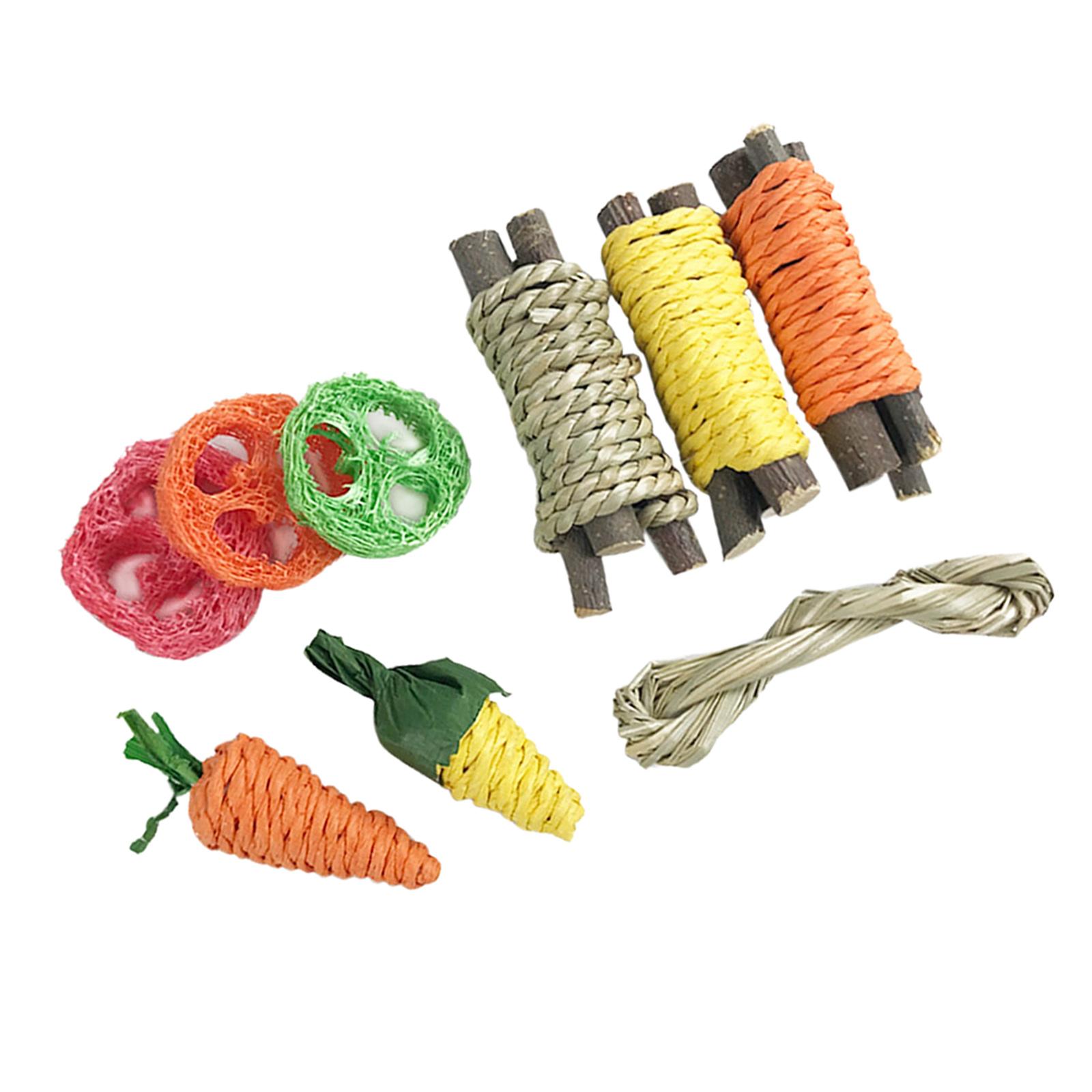 9Pcs Bunny Hamster Rabbit Chew Toys Teeth Care Radish Bite Grind Teeth Toy