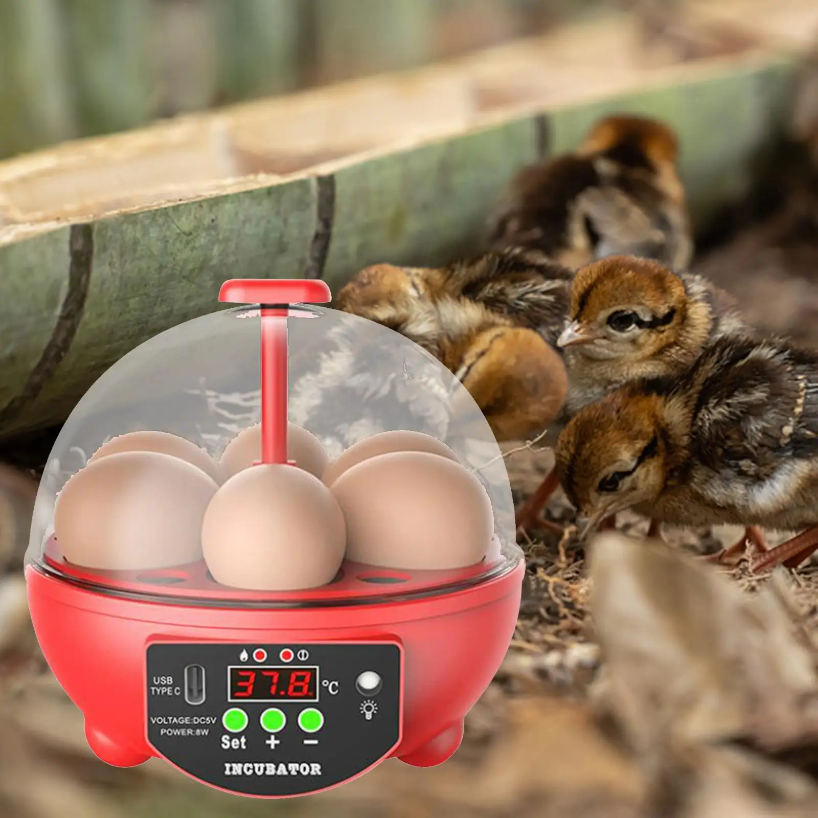 USB 6 Eggs Incubator LED Display Manual Chick Incubator for Chicken Birds