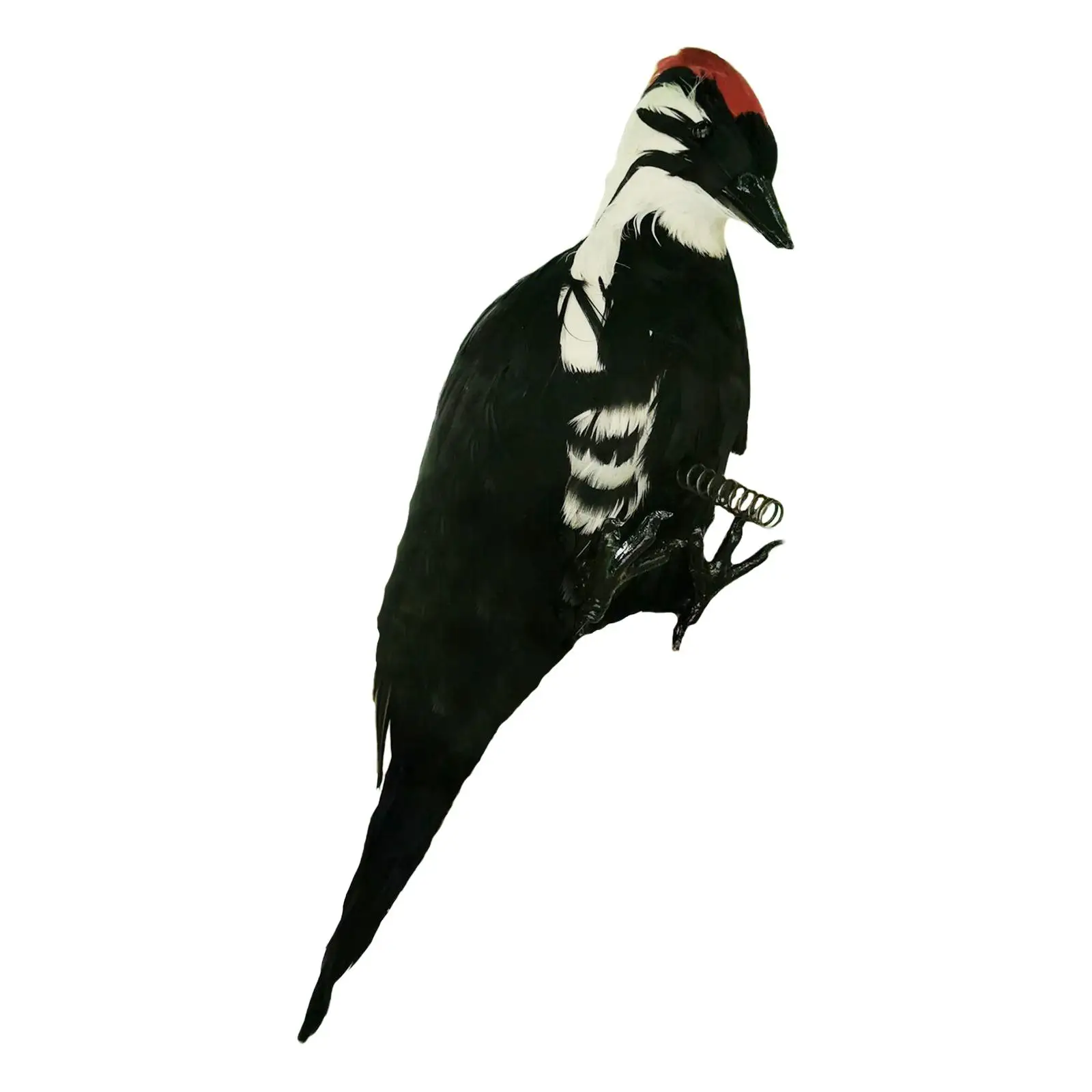 Simulaatio Woodpecker lelut lintu kevään sulka keinotekoinen lahjataideveistospatsasmalli puutarhapihan kodinsisustuskoristeelle