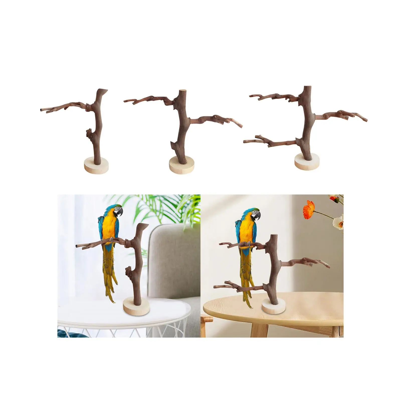 Parrot Stand Wooden Durable Lightweight Bird Cage Bird Stand Practical Free