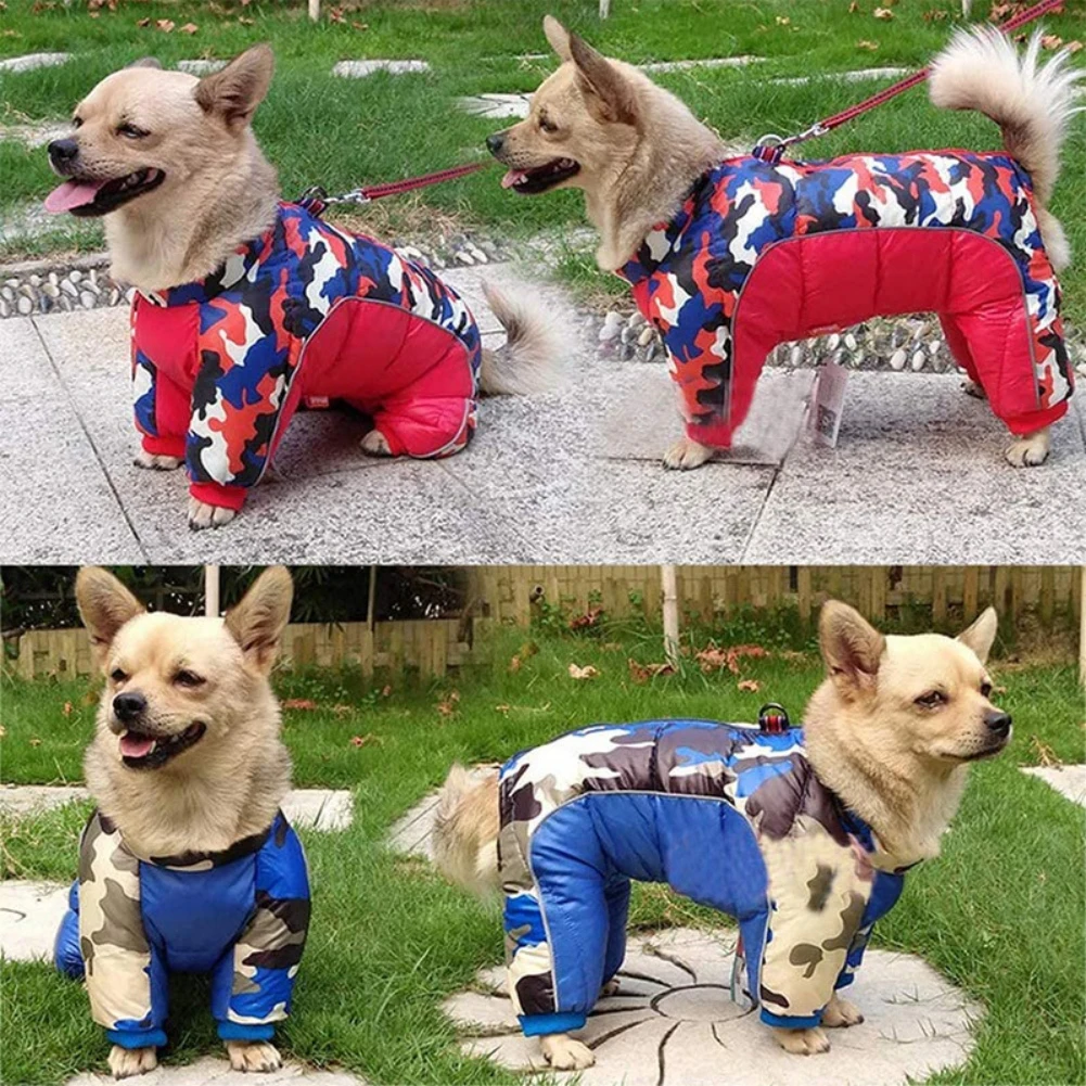 Tres fotografías de un perro pequeño con diferentes tipos de ropa. En la foto superior, el perro lleva un traje de camuflaje rojo y azul con capucha.