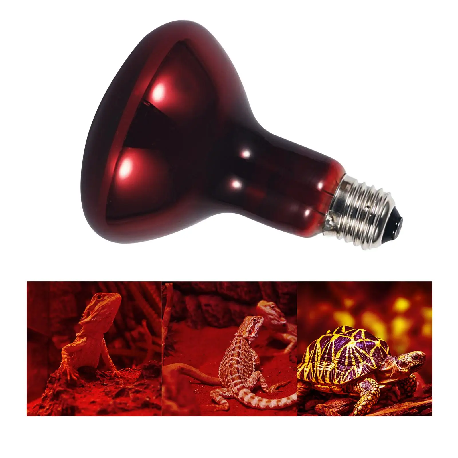 E27 Reptile Light Bulb Warm Pet 100W Accessories Heating Lamp Daylight Red Infrared for Turtle Bearded Dragon Indoor