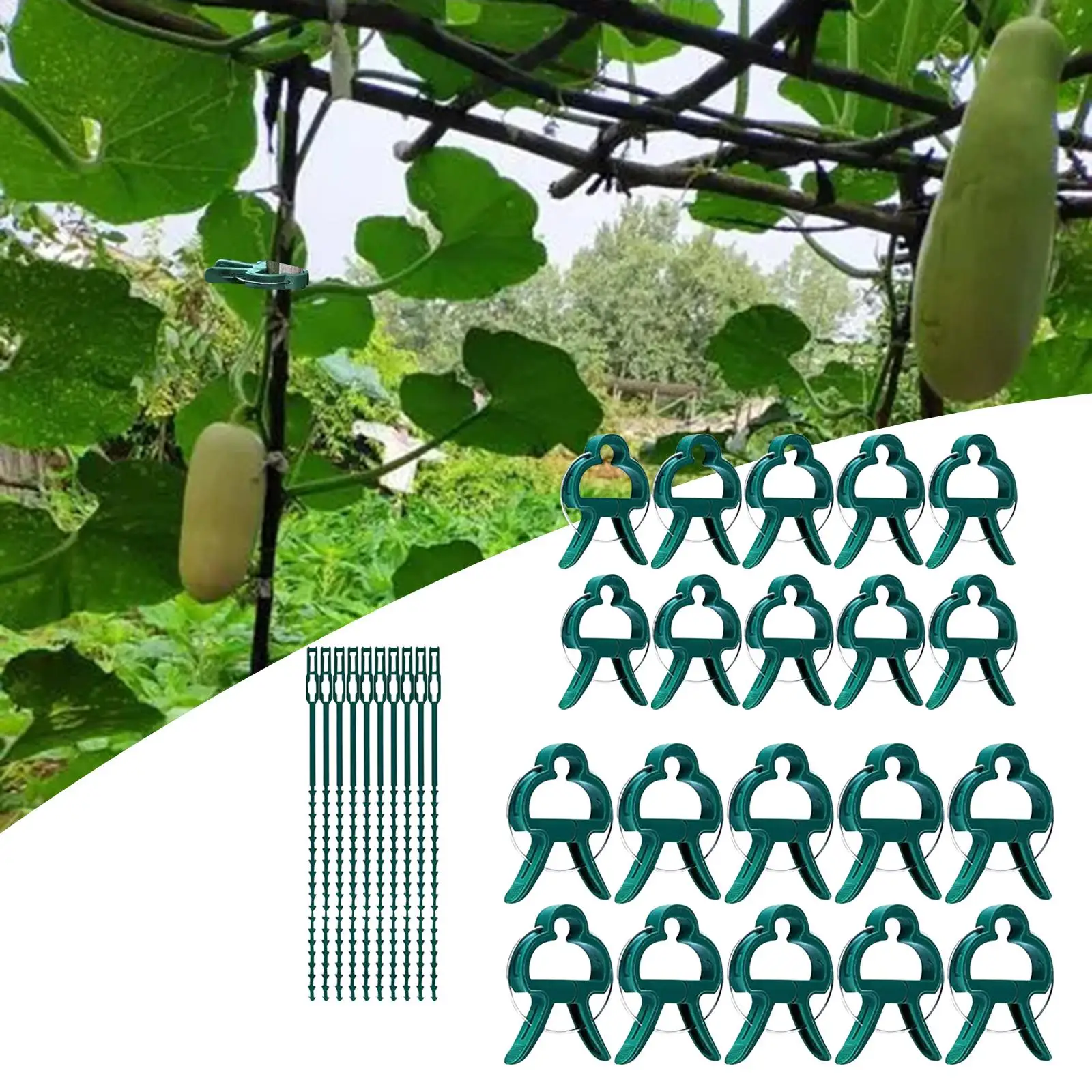 Clip, Garden Plant Vine Support Clip, Support Tomato Vegetable Trellis Twine Tie