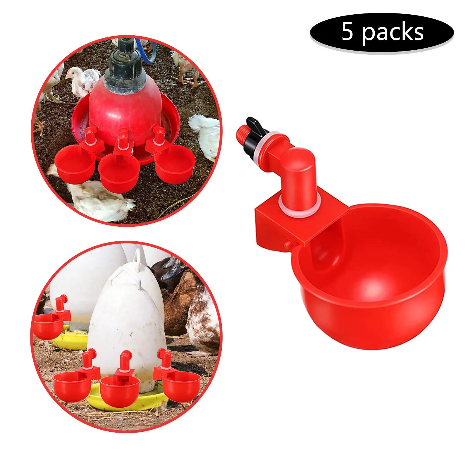 5PCS Automatic Poultry Water Drinking Cups Drinker for Bird Chicken Fowl Chick 