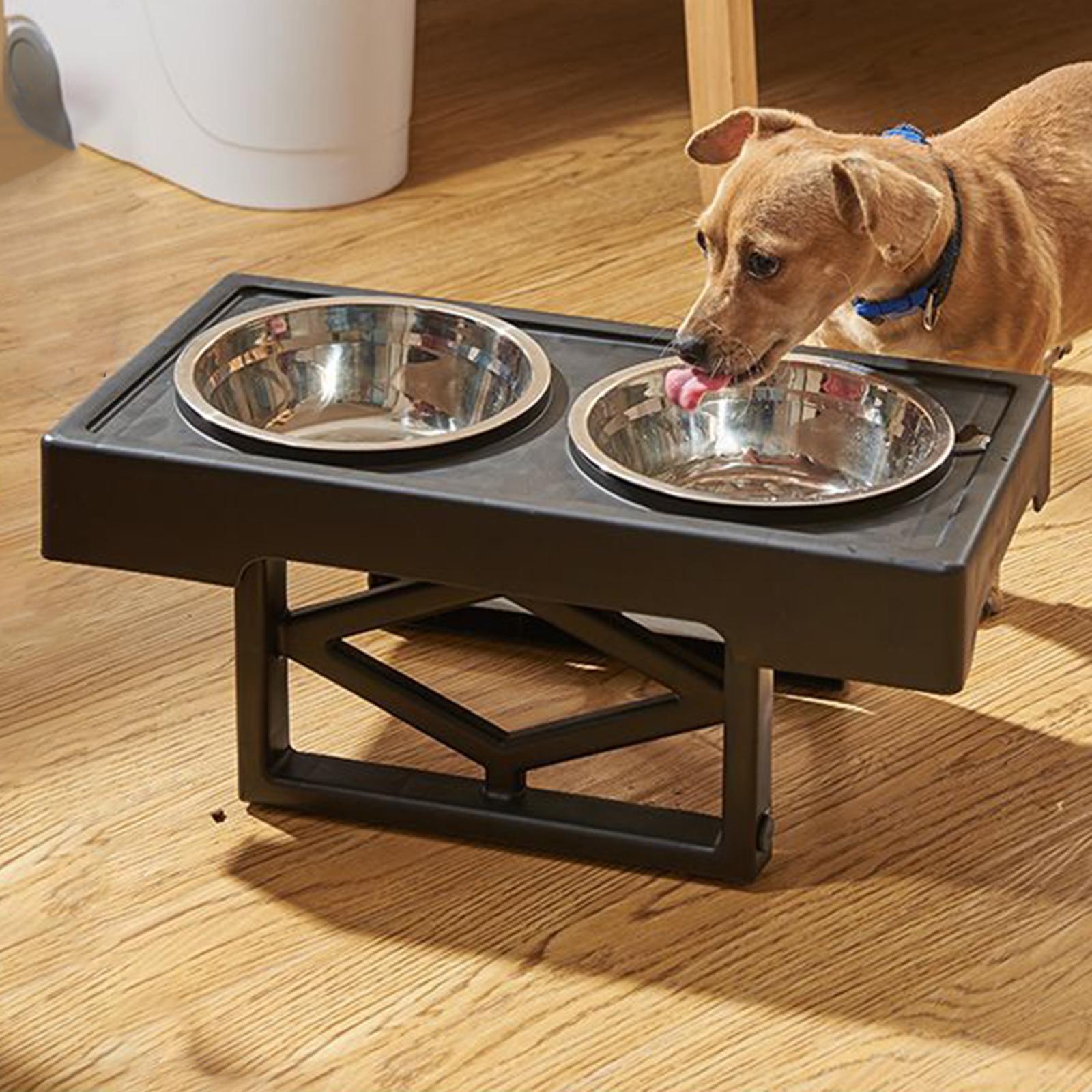 Elevated Dog Feeding Tray | stickhealthcare.co.uk