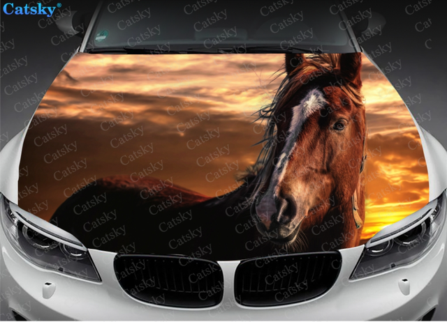 Finest Folia K039 Autocollant pour voiture - Pour remorque, camion, chevaux,  voiture - Motif cheval - Motif animal - Noir brillant - 30 x 21 cm :  : Auto et Moto