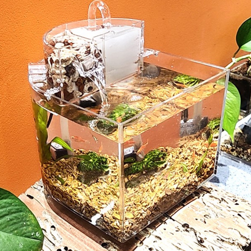 Title 3, Mini acquario acrilico trasparente Fish Keeper ...