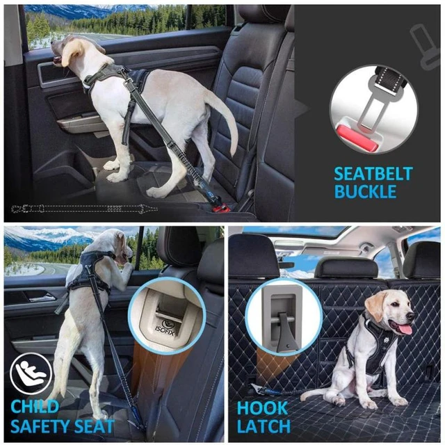 Todo lo que debes saber al elegir un cinturón de seguridad para perros -  COOLDENCIA