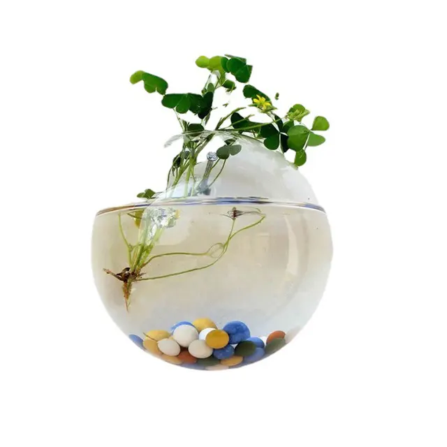 Pinsjar Acrylic Fish Bowl Wall Hanging Aquarium Tank Aquatic Pet Supplies  Pet Products Wall Mount Fish Tank for Betta fish