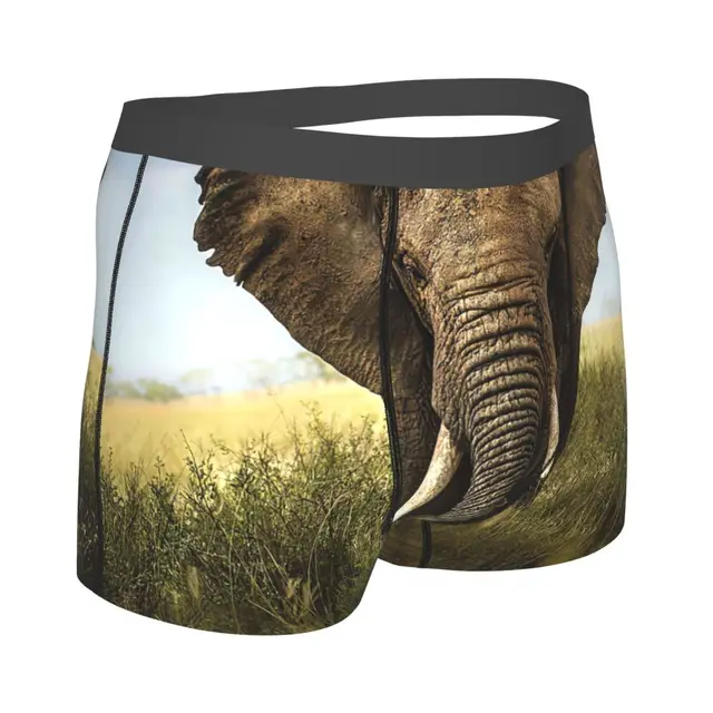 Calzoncillos de retrato de elefante para hombre, ropa interior  transpirable, pantalones cortos con estampado