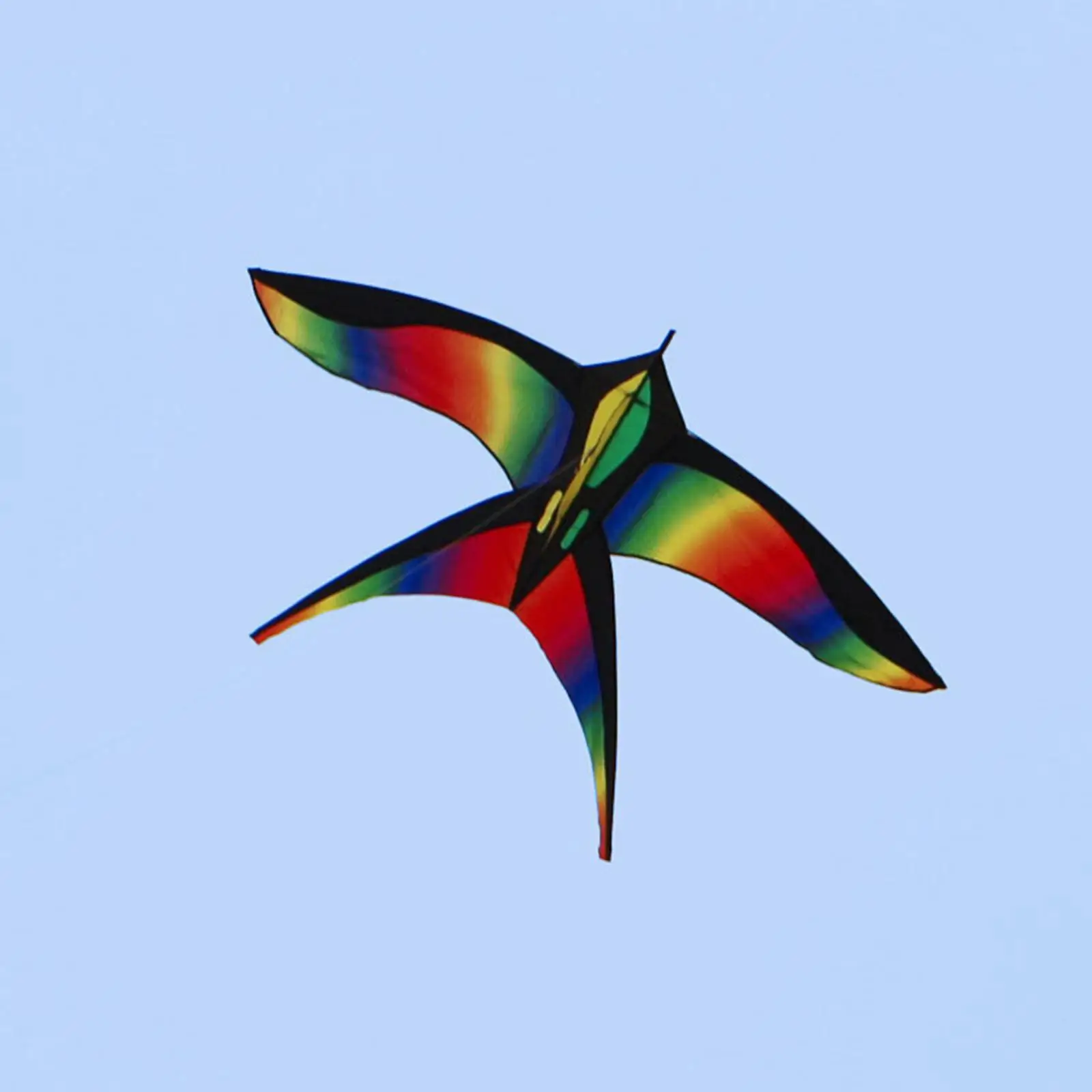 Colorful  Swallow Kite Single Line Huge  with String 75x70cm Giant  Beach Outdoor Sports Teenagers